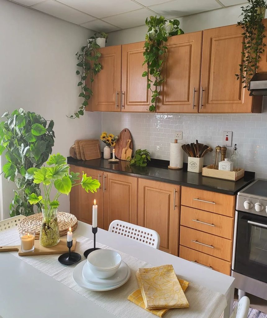 counter top organization ideas counter top organization ideas