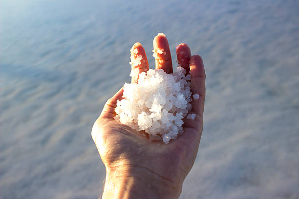 11 FOODS RICH IN IODINE EVERYONE SHOULD KNOW ABOUT — photo 13
