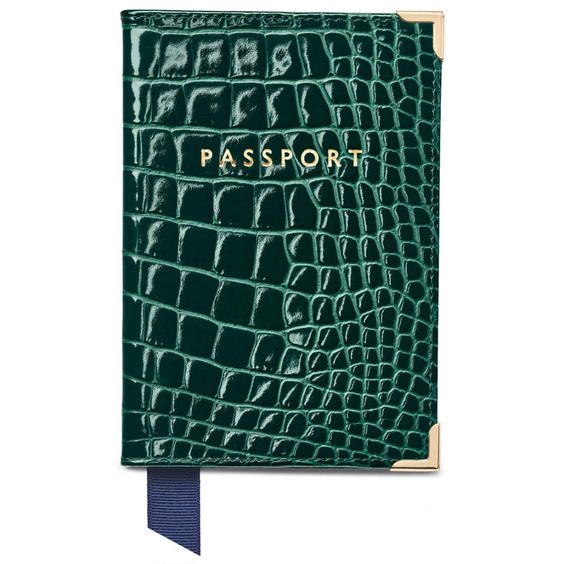 Top 15 Passport Holders to Carry in 2024 — photo 13 Top 15 Passport Holders to Carry in 2024 — photo 13