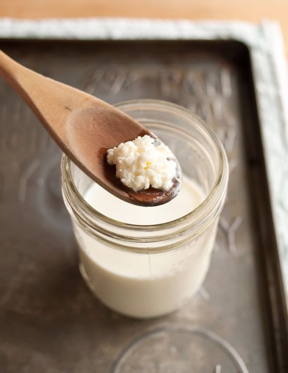 Kefir Yogurt for Gut Kefir Yogurt for Gut