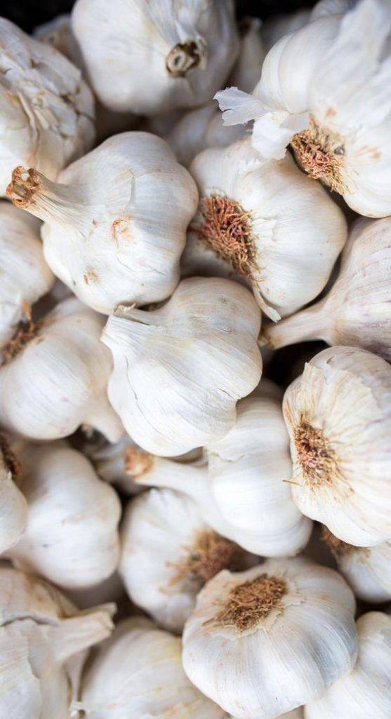 Garlic for Gut health Garlic for Gut health