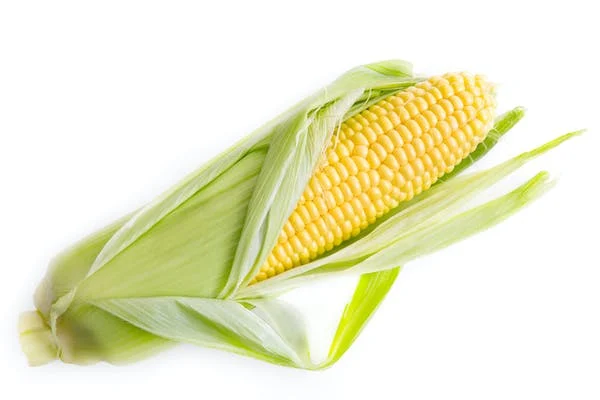 11 FOODS RICH IN IODINE EVERYONE SHOULD KNOW ABOUT — photo 10
