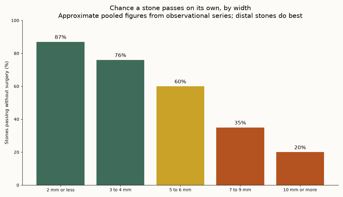Chart showing the chance of a kidney stone passing without surgery by stone size