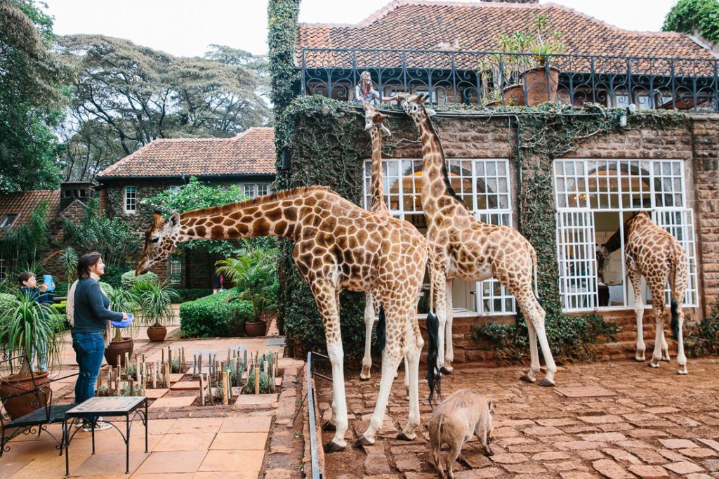 Giraffe Manor Nairobi kenya hotel