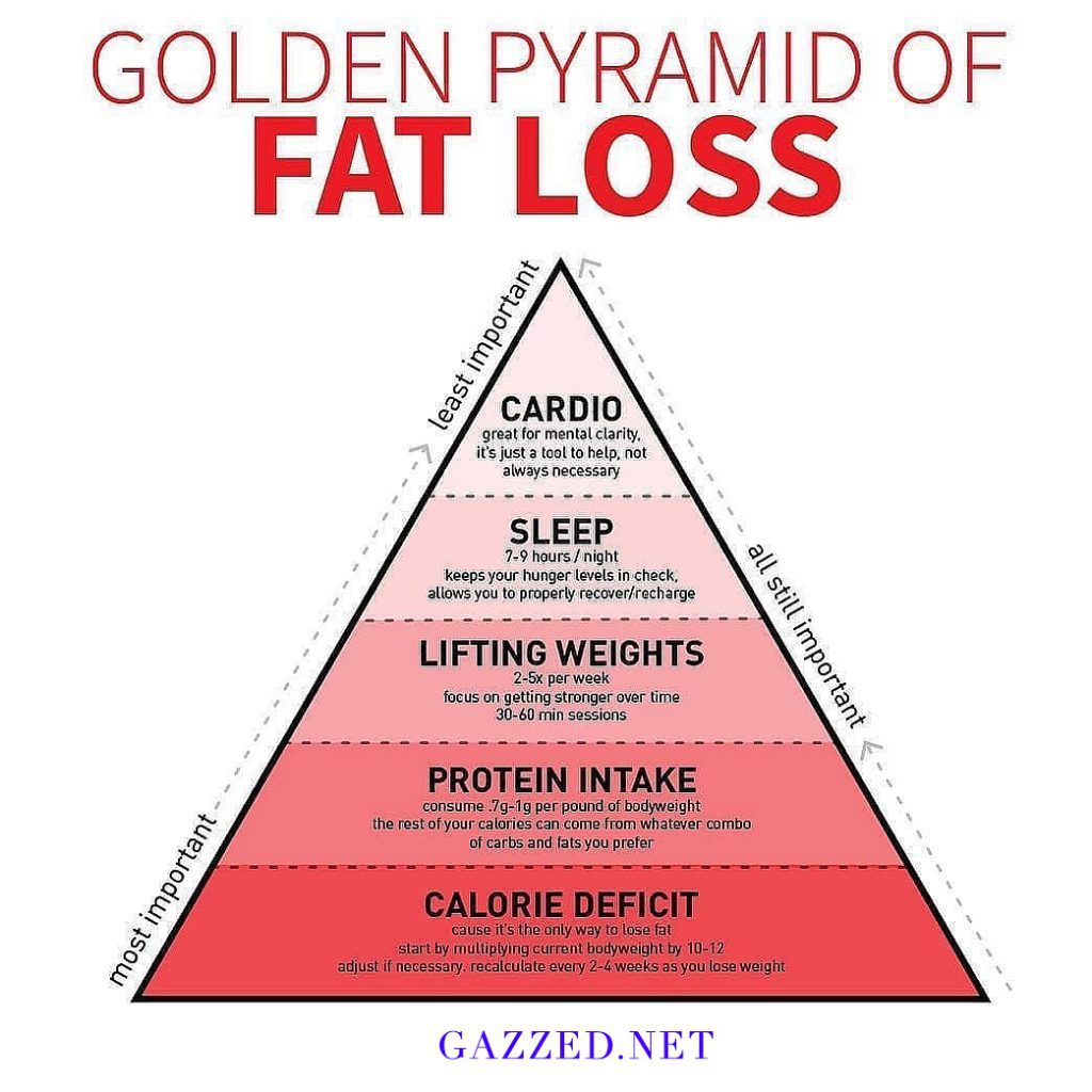 Pyramid of Fat Loss