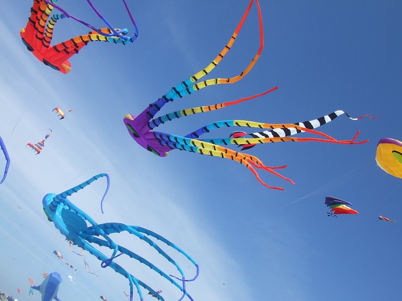 Makar Sankranti in Jaipur Kite Festival