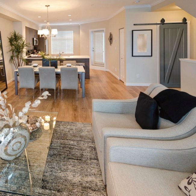 Sliding barn door in the living room